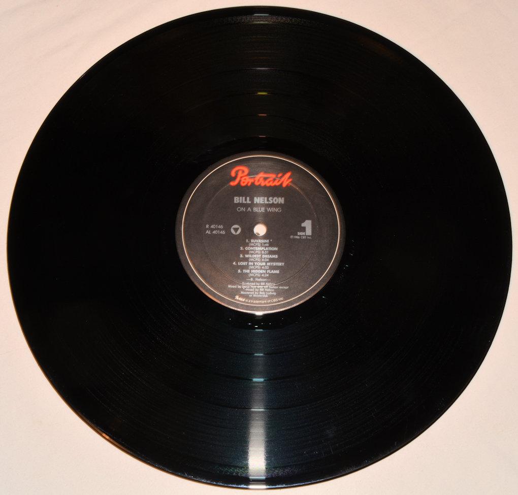 Nelson, Bill - On A Blue Wing