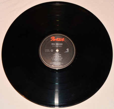 Nelson, Bill - On A Blue Wing