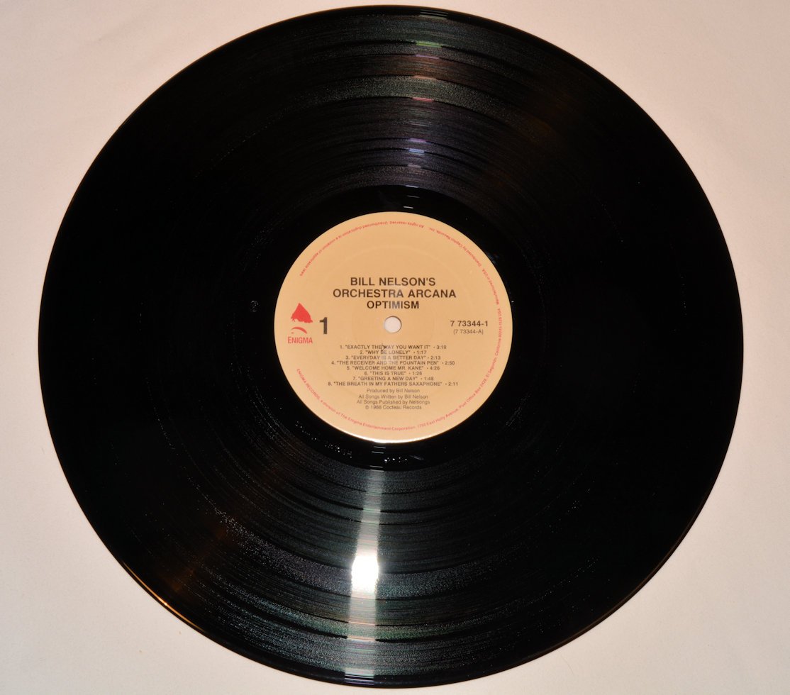 Nelson, Bill - Optimism