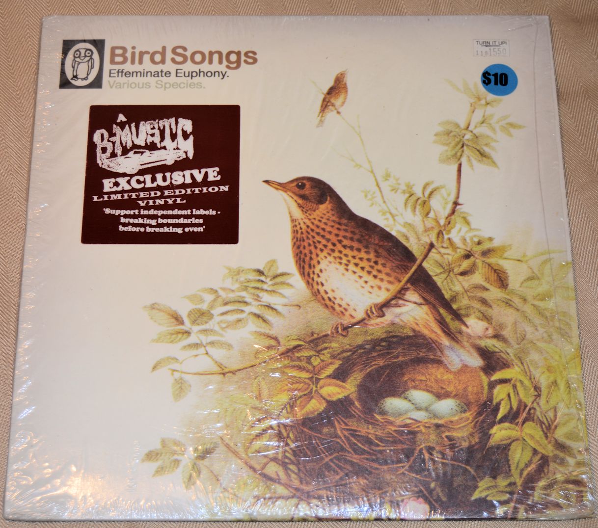 Various - Bird Songs