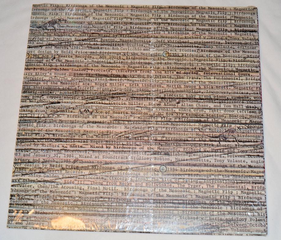 Birdsongs Of The Mesozoic - Magnetic Flip