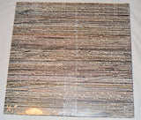 Birdsongs Of The Mesozoic - Magnetic Flip