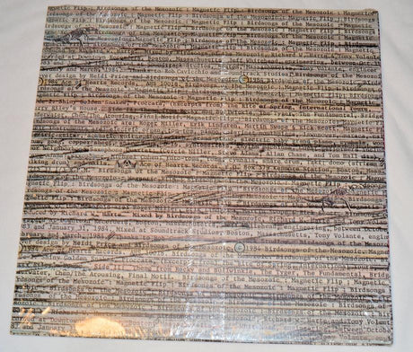 Birdsongs Of The Mesozoic - Magnetic Flip