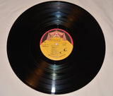 Birdsongs Of The Mesozoic - Magnetic Flip