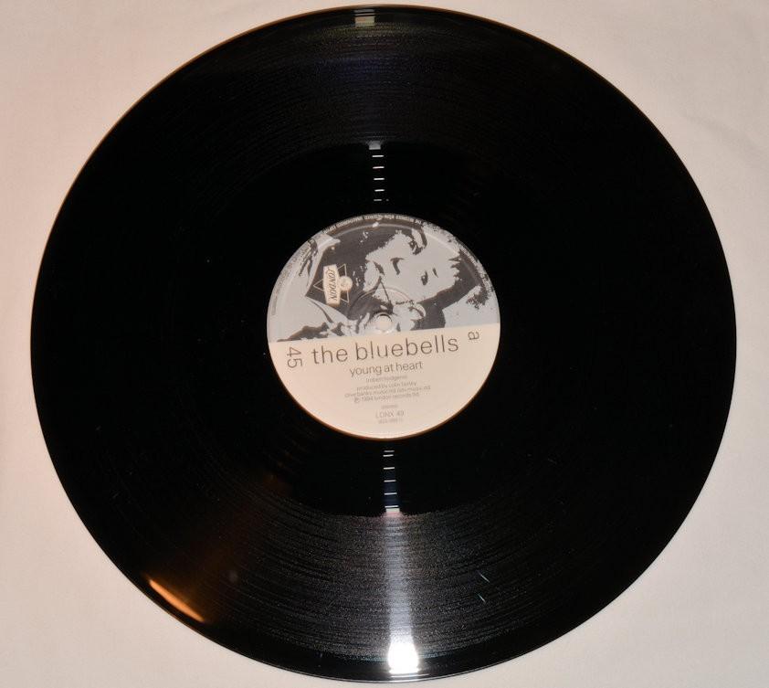 Bluebells, The - Young At Heart