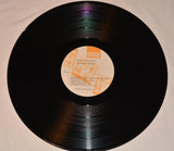 Bluesbusters, The - Accept No Substitutes