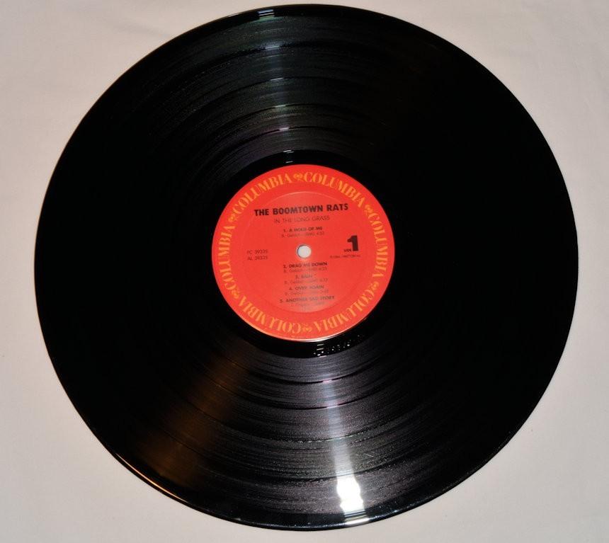 Boomtown Rats - In The Long Grass