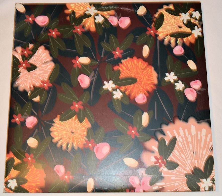 Bright Eyes - Noise Floor