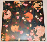 Bright Eyes - Noise Floor