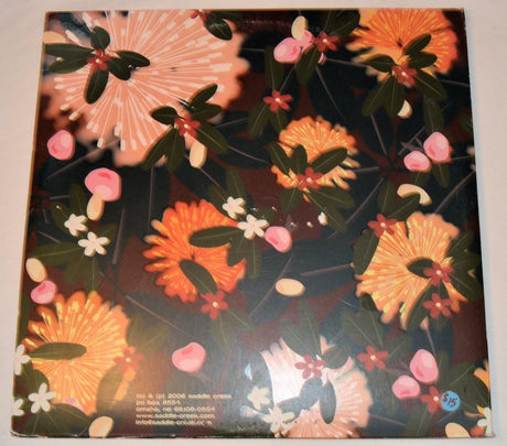 Bright Eyes - Noise Floor