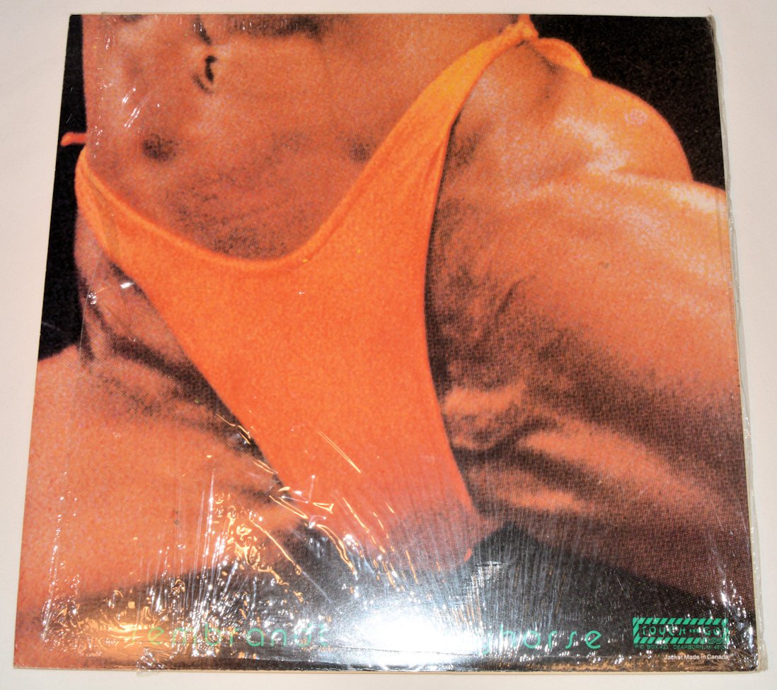 Butthole Surfers - Rembrandt Pussyhorse