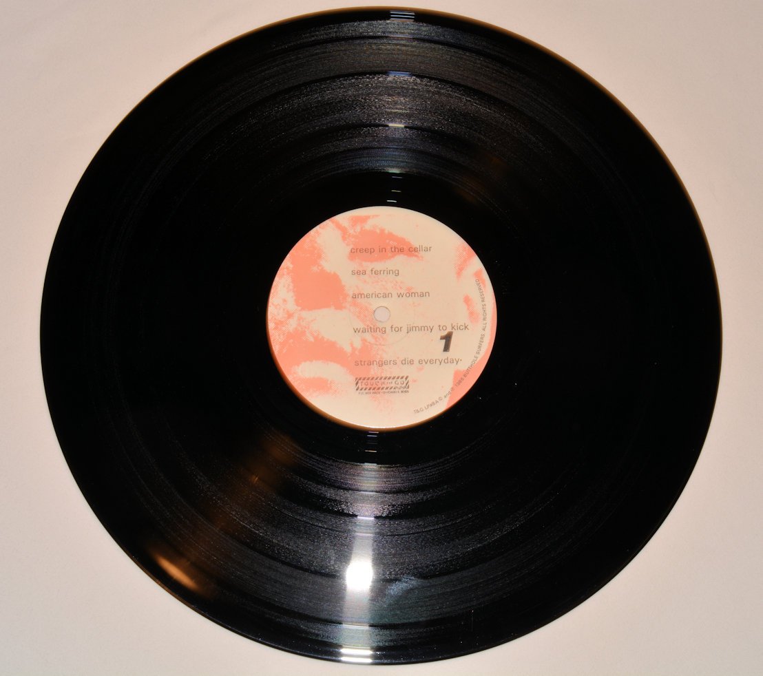 Butthole Surfers - Rembrandt Pussyhorse