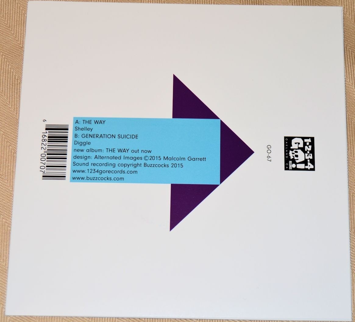 Buzzcocks - The Way