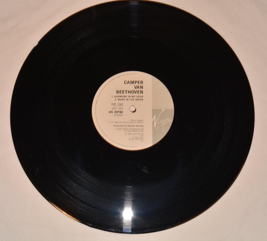Camper Van Beethoven - Life Is Grand