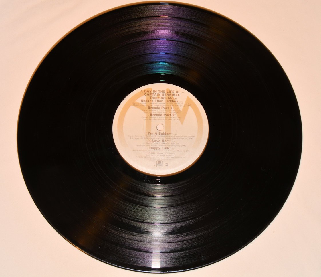 Captain Sensible - A Day In The Life Of ...