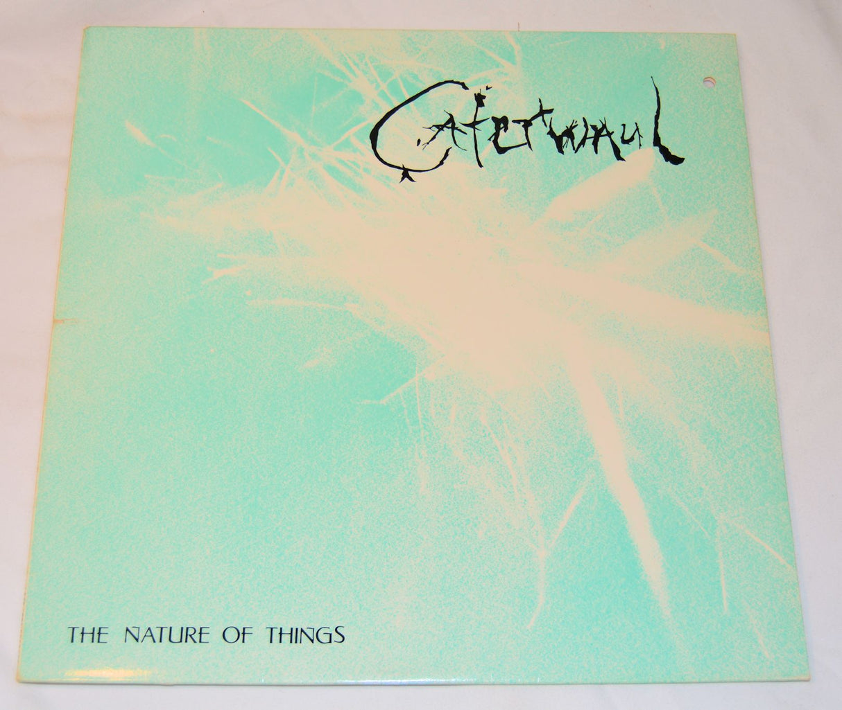 Caterwaul - The Nature Of Things