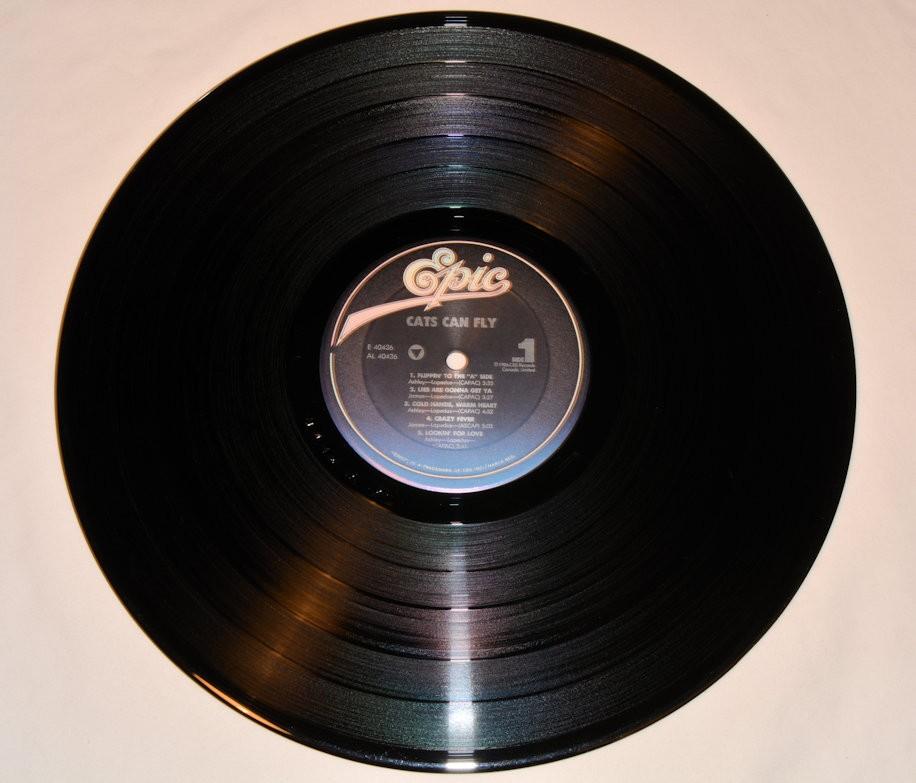 Cats Can Fly - Cats Can Fly