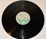 Chain Link Fence - Fireworks