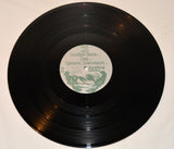 Chain Link Fence - Positive