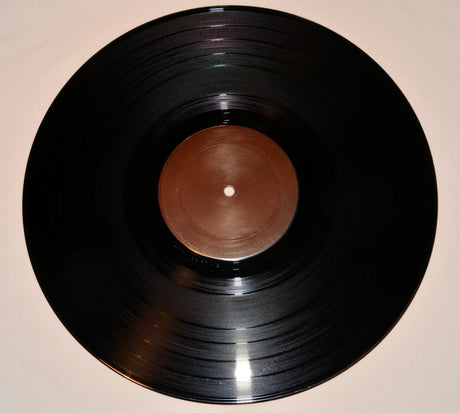 Child Molesters, The - Legendary Brown Album