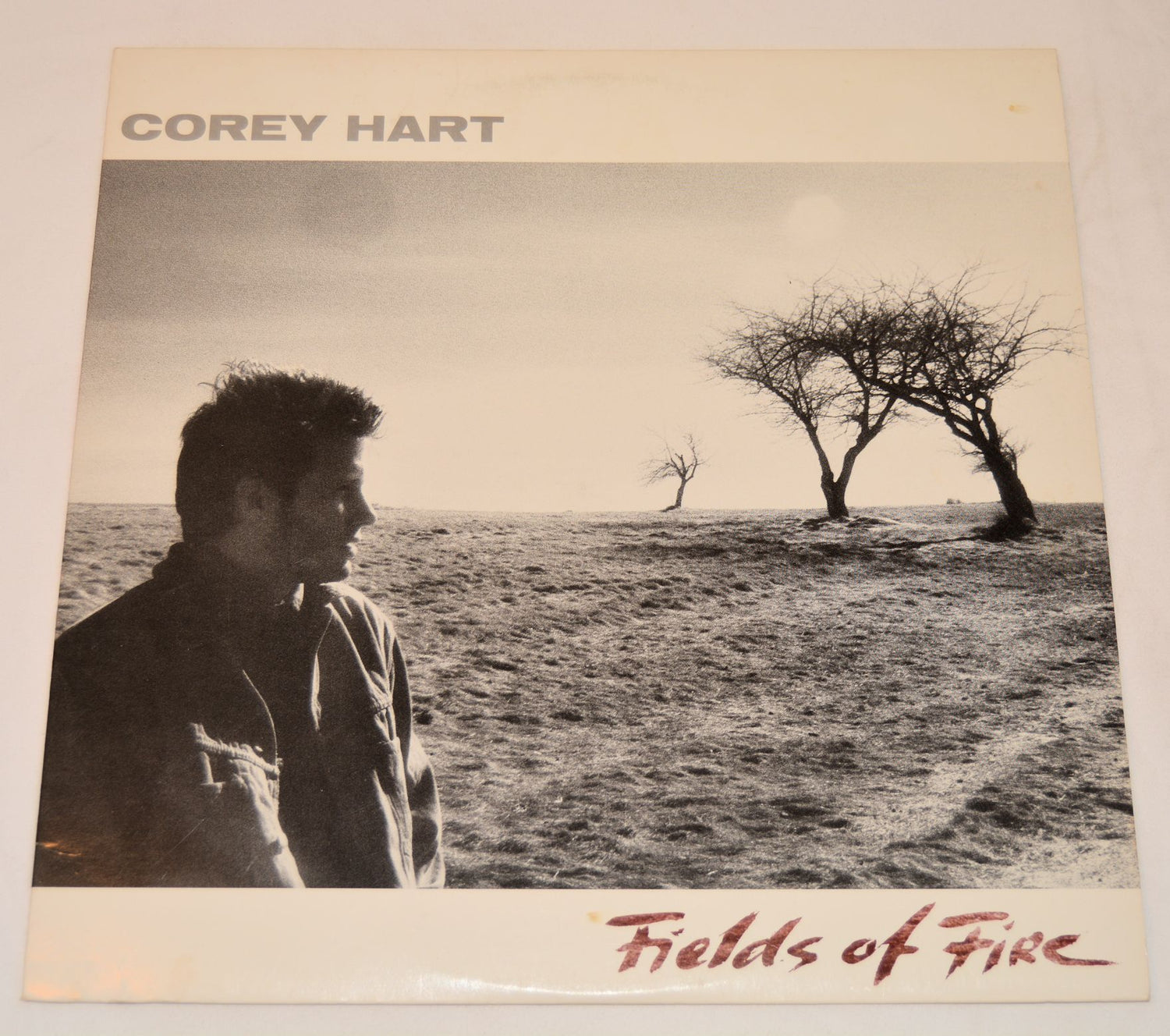 Hart, Corey - Fields Of Fire