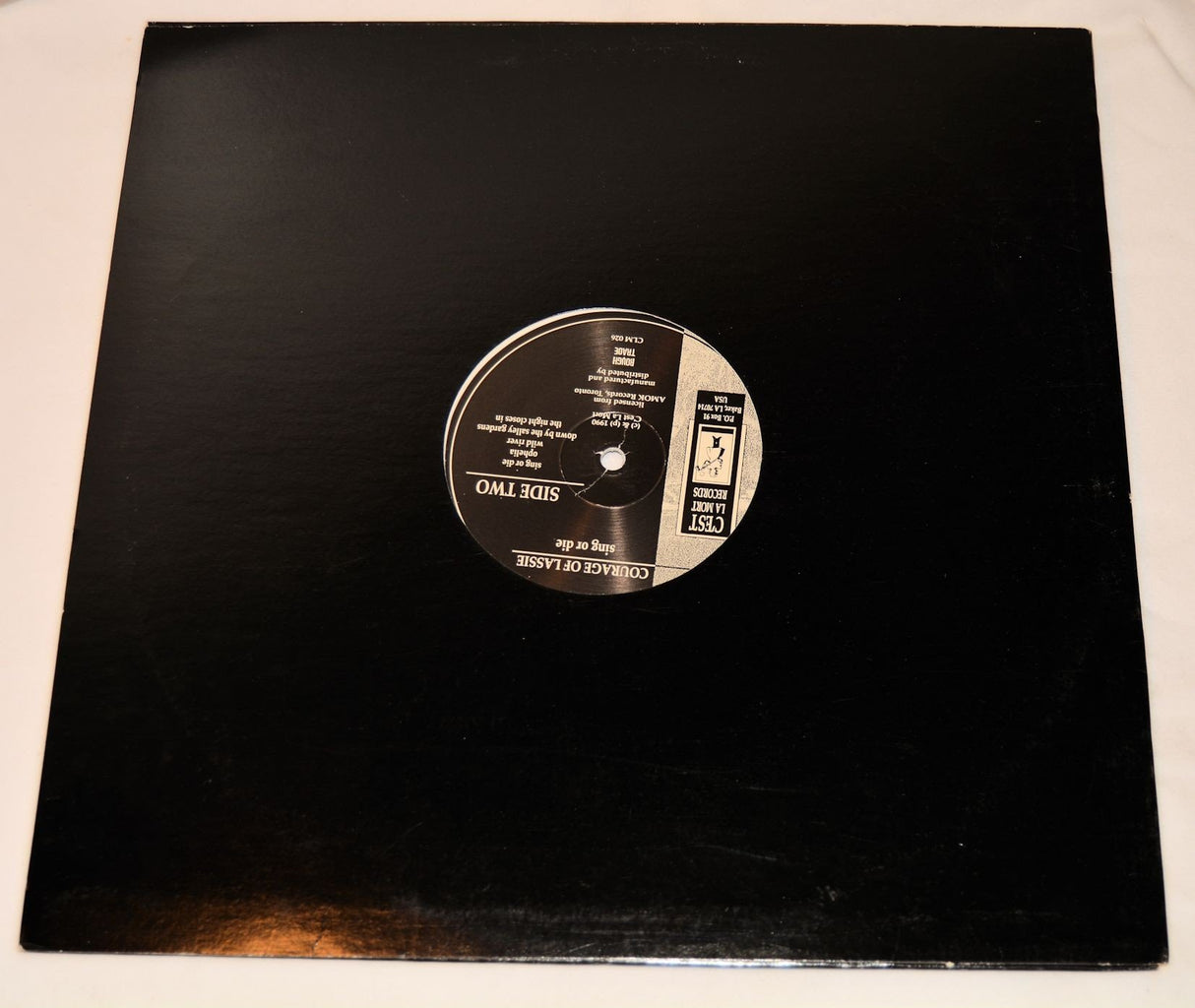 Courage Of Lassie - Sing Or Die