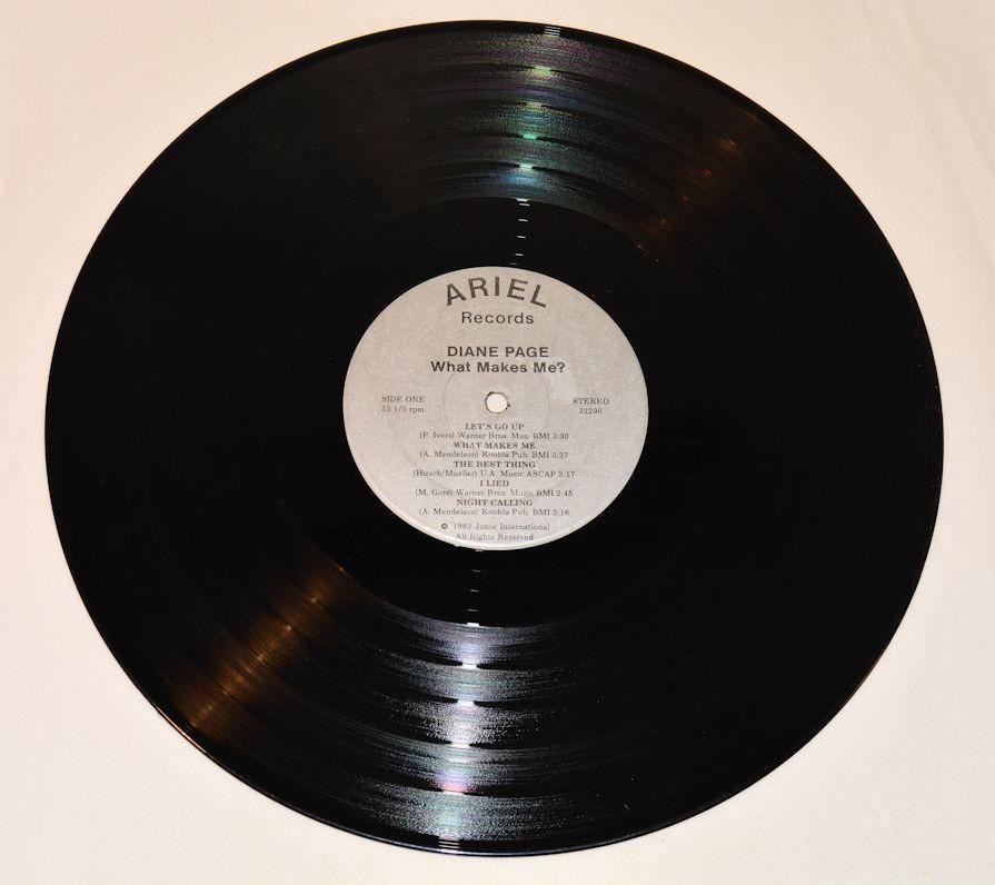 Page, Diane - What Makes Me?