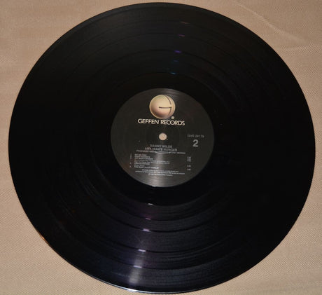 Wilde, Danny - Any Man's Hunger