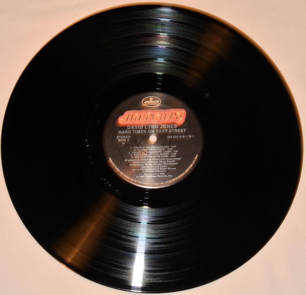 Jones, David Lynn - Hard Times On Easy Street