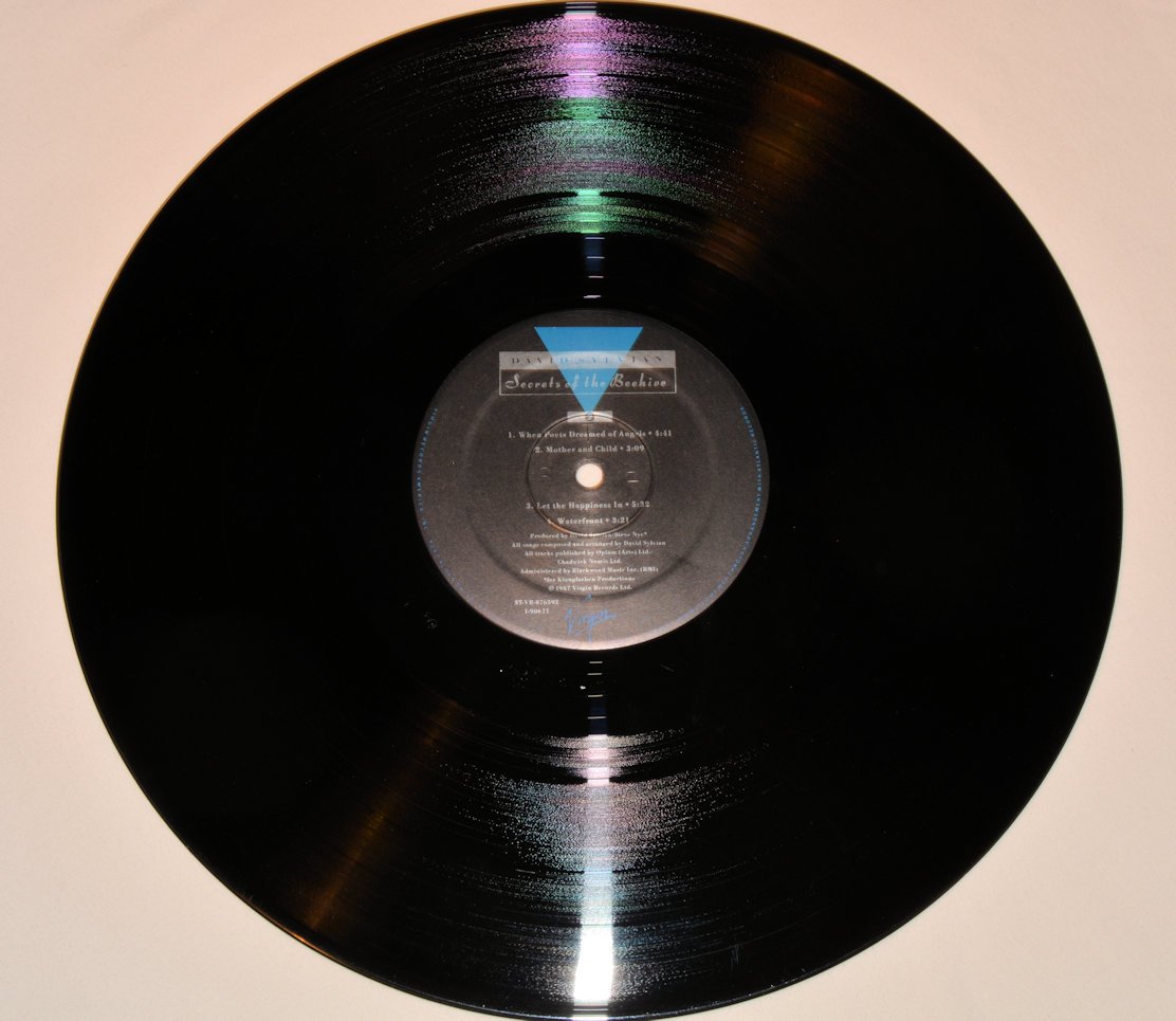 Sylvian, David - Secrets Of The Beehive