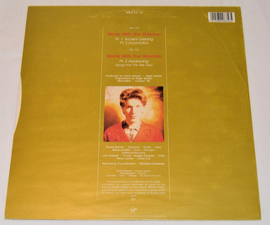 Sylvian, David - Words With Shaman