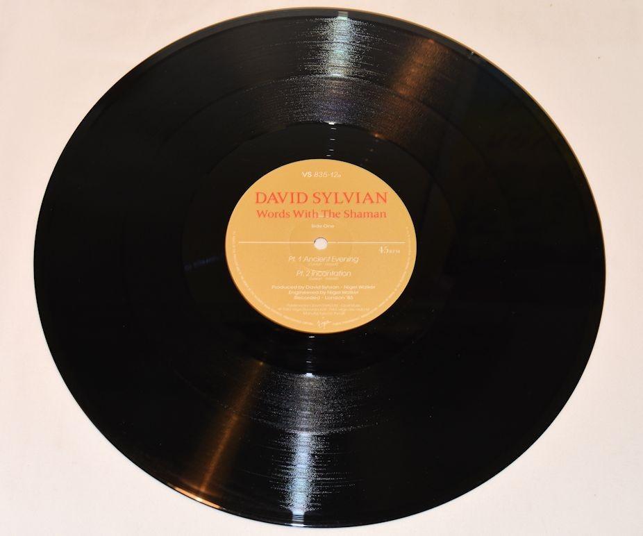 Sylvian, David - Words With Shaman