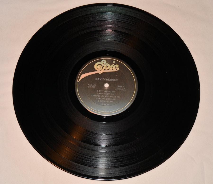 Werner, David - David Werner