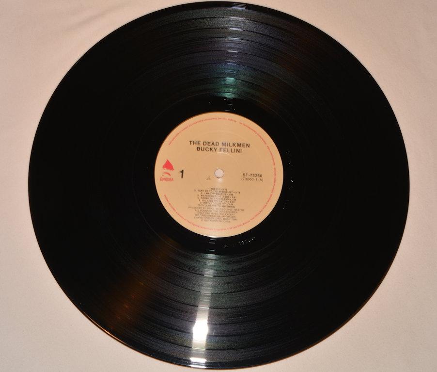 Dead Milkmen - Bucky Fellini