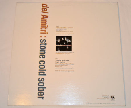 Del Amitri - Stone Cold Sober