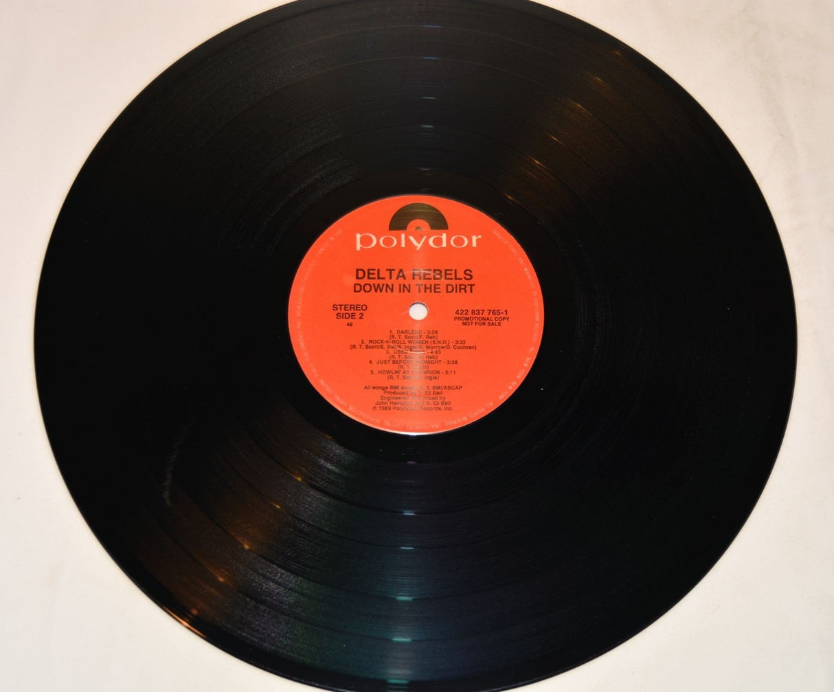 Delta Rebels - Down In The Dirt