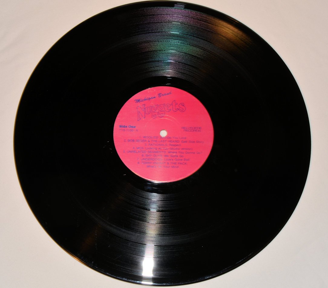 Various - Michigan Brand Nuggets