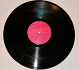 Various - Michigan Brand Nuggets