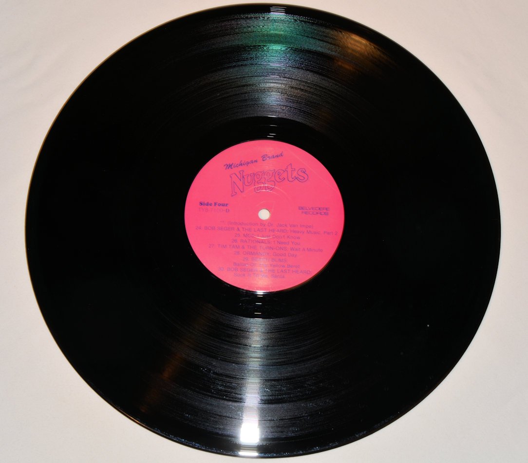 Various - Michigan Brand Nuggets