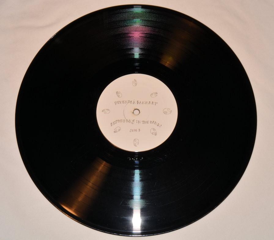 Barnhart, Devendra - Rejoicing in the Hands