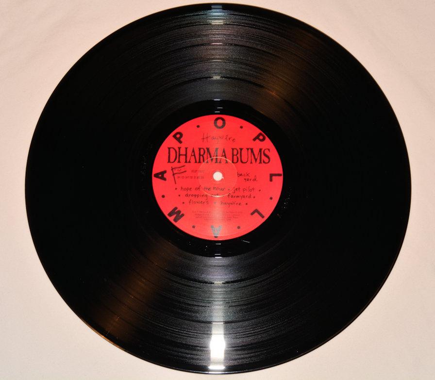 Dharma Bums - Haywire