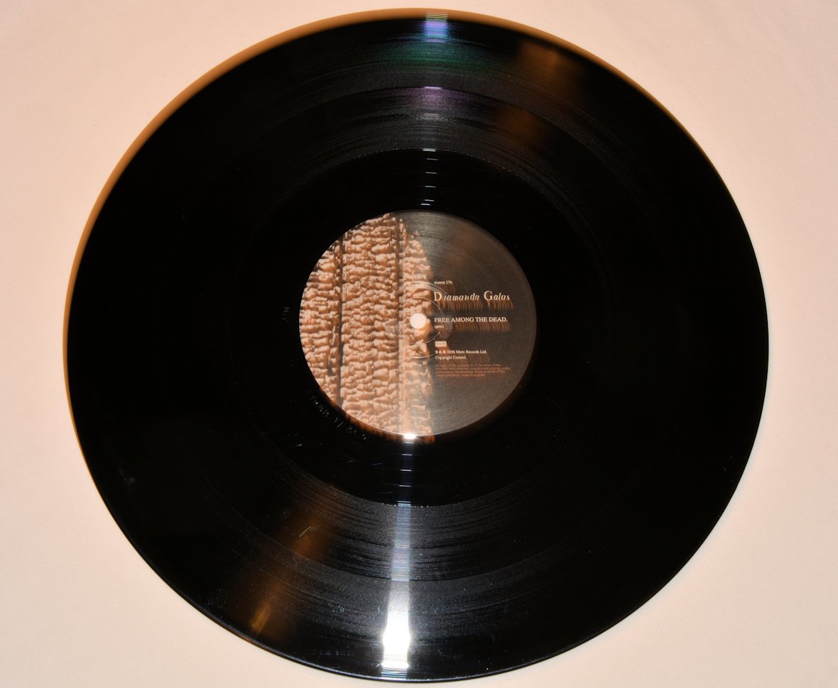 Galas, Diamanda - Divine Punishment