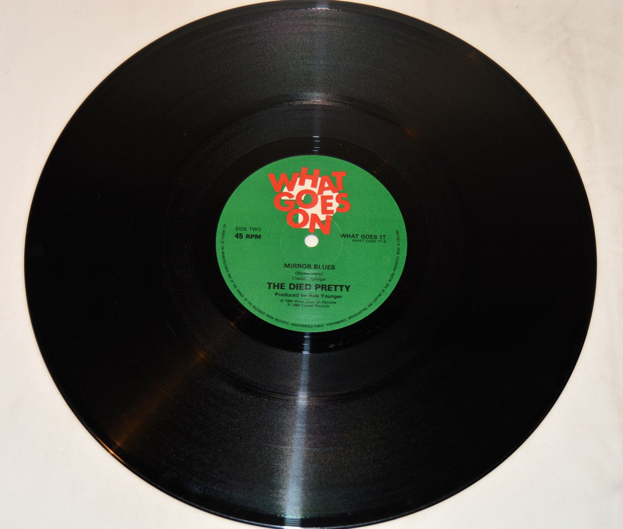 Died Pretty, The - Out Of The Unknown