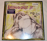 Dinosaur Jr - You're Living All Over Me
