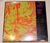 Dinosaur Jr - You're Living All Over Me