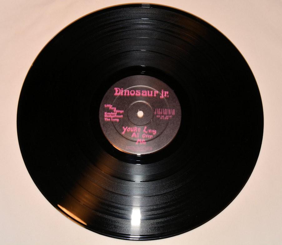 Dinosaur Jr - You're Living All Over Me