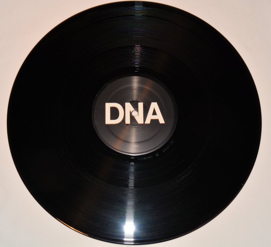 DNA / A Taste of DNA レコード DNA (LP, Vinyl) A Taste of DNA [Orig 1981 UK Rough trade RTO
