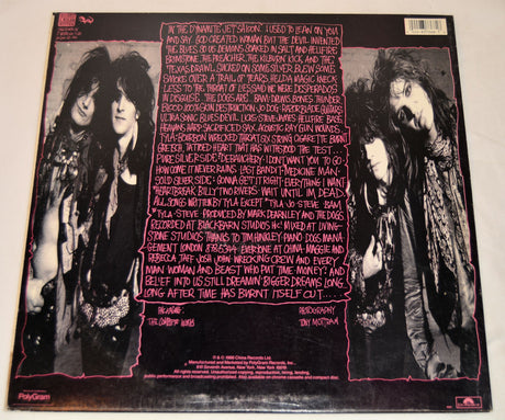 Dogs D'Amour, The - In The Dynamite Jet Saloon