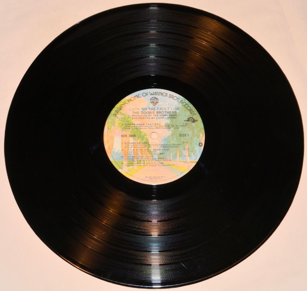 Doobie Brothers, The - Livin' On The Fault Line