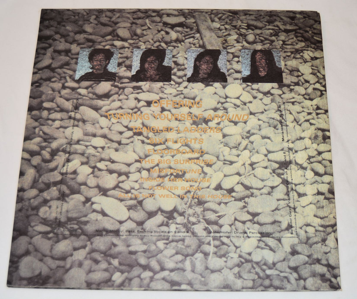 Downy Mildew - Mincing Steps